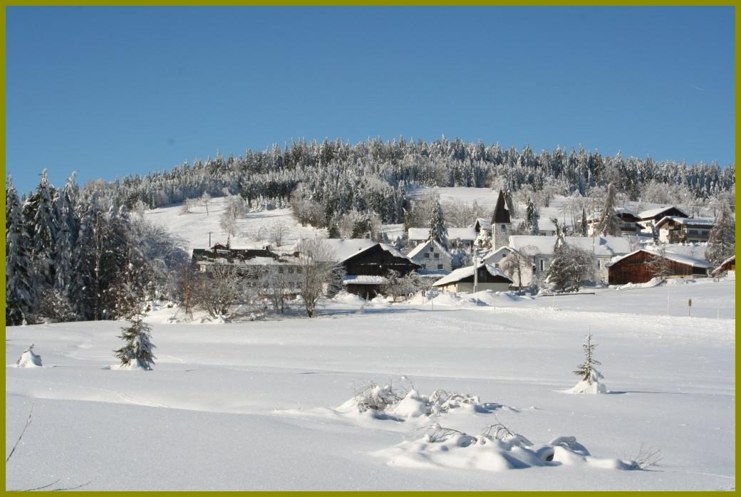 Pension Philippsreut "Zum Pfenniggeiger" Am Goldsteigwanderweg Екстер'єр фото