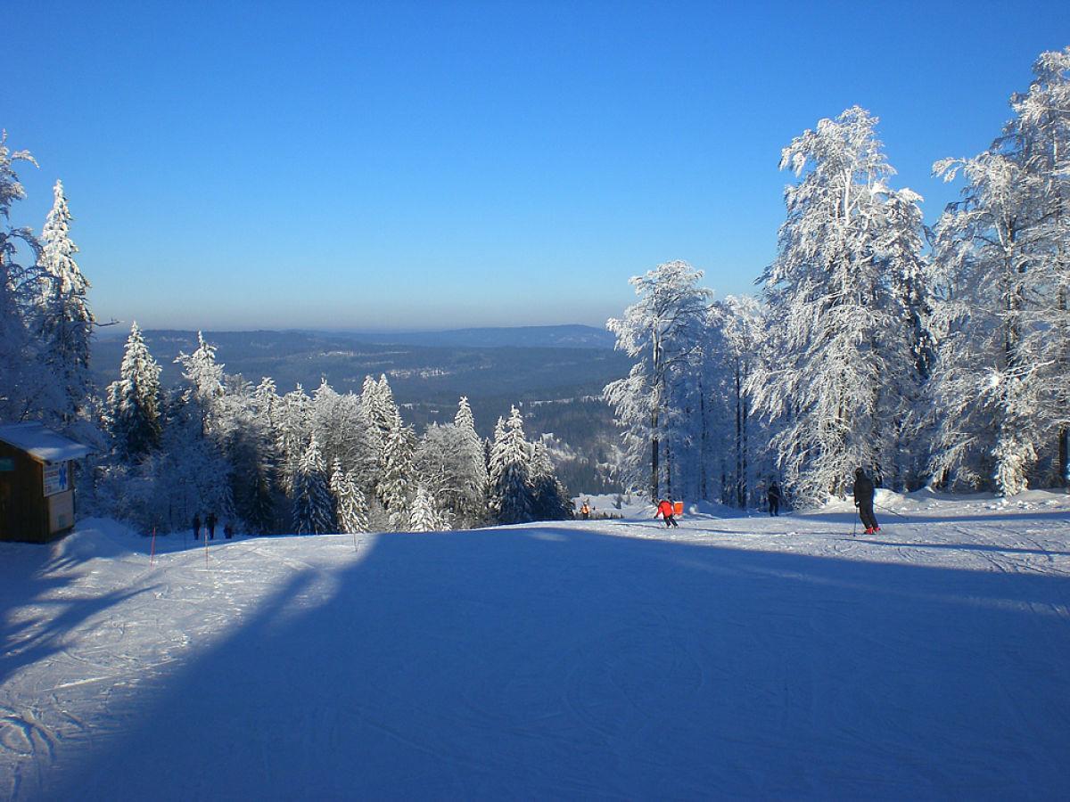 Pension Philippsreut "Zum Pfenniggeiger" Am Goldsteigwanderweg Екстер'єр фото